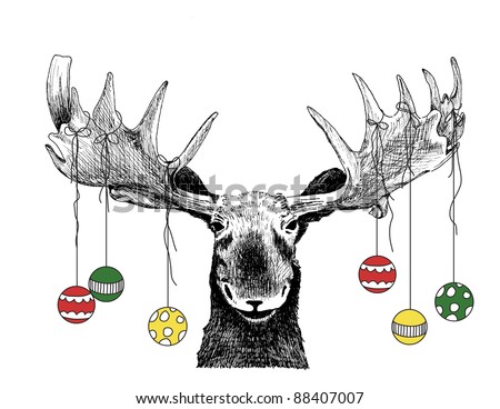 funny Christmas card moose design of hand drawn winter scene of big animal face, cute humorous Christmas tree ornaments or decorations hanging on antlers, vector illustration, fun happy humor sketch