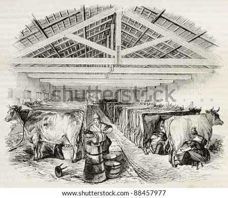 Stable old illustration. By unidentified author, published on Magasin Pittoresque, Paris, 1844