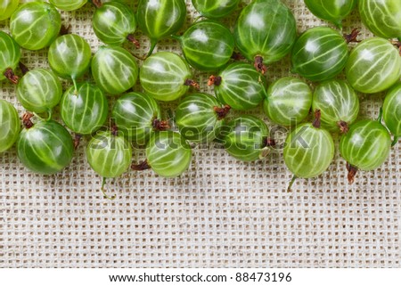 Many gooseberry fruits on gray linen table cloth with copy space, design ready