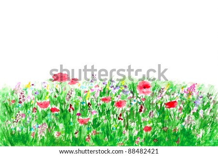 Summer flowers in the garden watercolor hand-painted, isolated on white