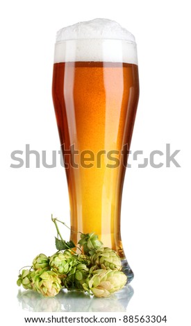 beer in a glass and green hop isolated on white
