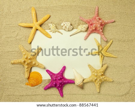 Sea frame with starfishes