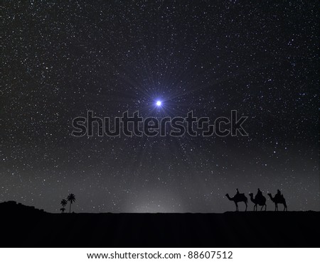 Nativity scene with 3 wise men and the Christmas star.