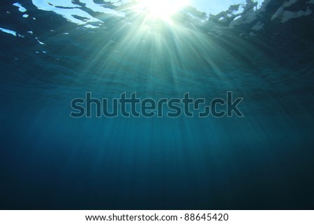 Background image of Sun Rays Underwater