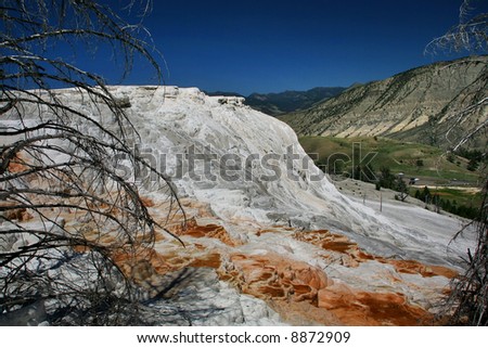 Mammoth Hot Springs Lower Terrace, Yellowstone National Park, Wyoming Editor's note---In response to comments from reviewer have further processed image to reduce noise and sharpen focus.