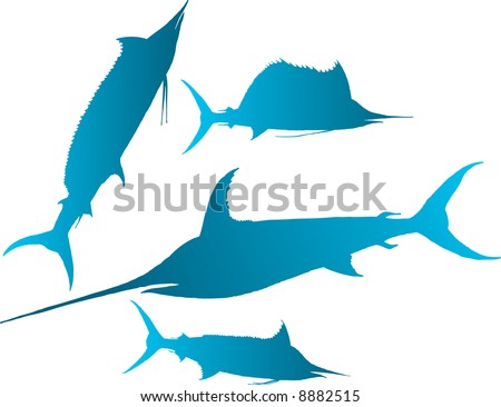 Vector illustration silhouettes of marlin, spearfish, sailfish and sword-fish