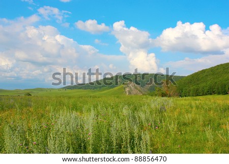 Beautiful summer landscape with mountains