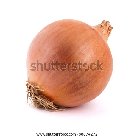 One onion on a white background