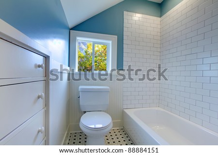 Bathroom interior design blue and white.