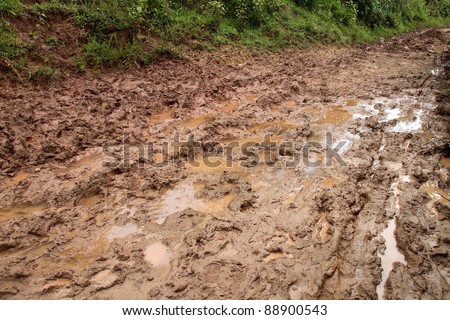Dirty road in the field, Shan state, Myanmar Royalty-Free Stock Photo #88900543
