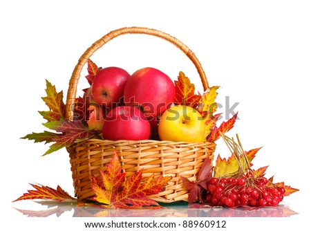 beautiful autumn harvest in basket and leaves isolated on white