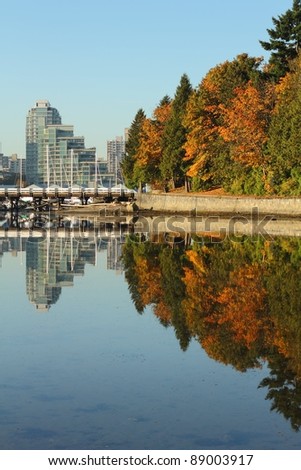 Trees and the pedestrian seawall of Stanley Park reflected in the calm waters of Coal Harbor. Vancouver, British Columbia, Canada.