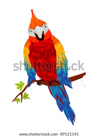 Starring parrot, isolated object over white background