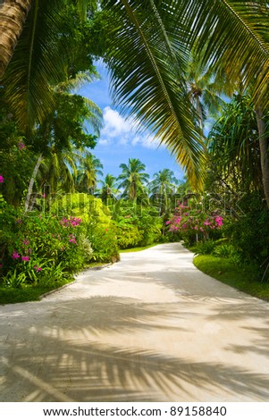 Pathway in tropical park - abstract travel background