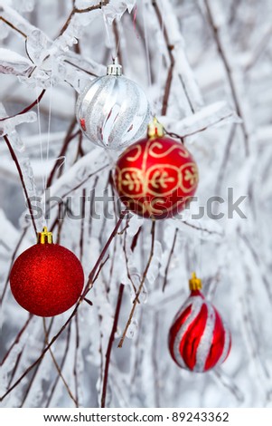 Beautiful Christmas red balls over snowy branches