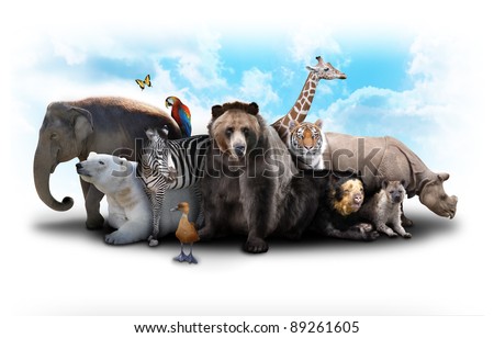 A group of animals are grouped together on a white background. Animals range from an elephant, zebra, bear and rhino. Use it for a zoo or friends concept. Royalty-Free Stock Photo #89261605