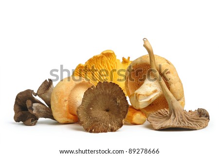 Wild Foraged Mushroom selection isolated on white background, with shadow. Royalty-Free Stock Photo #89278666