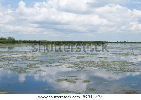 Danube Delta Lake landscape