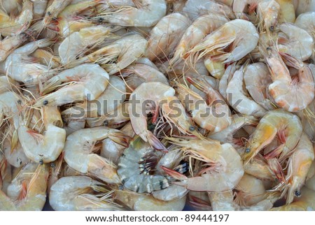 close up of raw sea food.