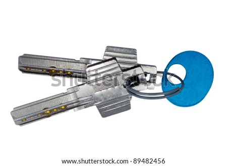 Isolated Security Keys with Magnets. Clipping Path included.