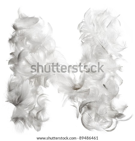Alphabet of letters made from chicken feathers. Isolated on white background with clipping path.