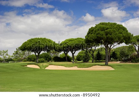 Beautiful picture of a golf camp with pine trees
