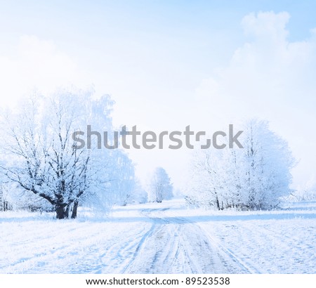 Winter rural road in a forest with frozen trees Royalty-Free Stock Photo #89523538