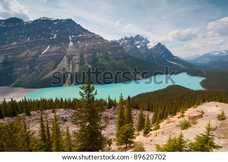 Landscape view of majestc Peyto Lake in Banff National Park, Canada.