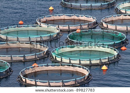 Fish farms in Peloponesse, Greece Royalty-Free Stock Photo #89827783