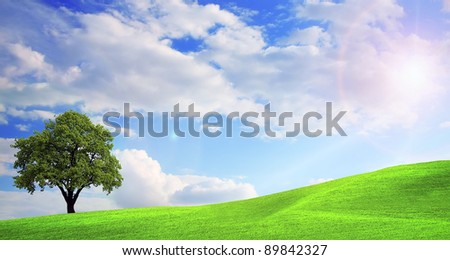 Green nature landscape
