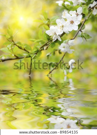 spring flowers Royalty-Free Stock Photo #89854135