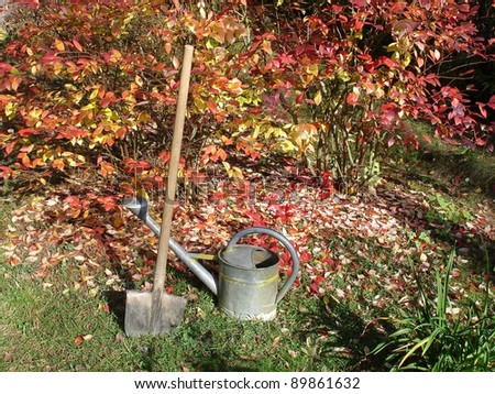 Old garden tools arrangement with fall background