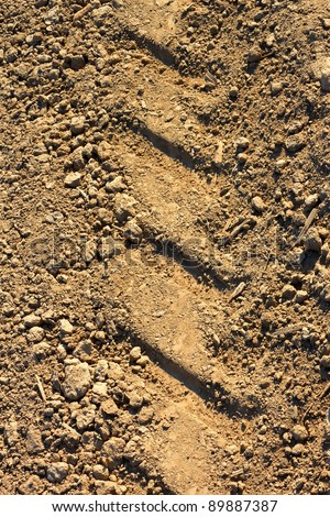 Tread pattern of a truck tire on the dried soil