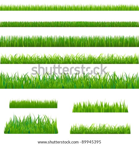 Big Green Grass, Isolated On White Background, Vector Illustration