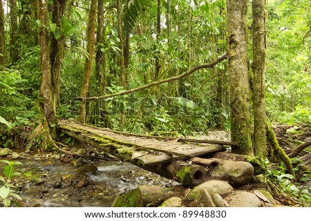 Experience the lush Ecuadorian jungles flow, crossing a quaint Latin inspired wooden bridge nestled amidst vibrant forest foliage, maximising outdoor mountain adventures.