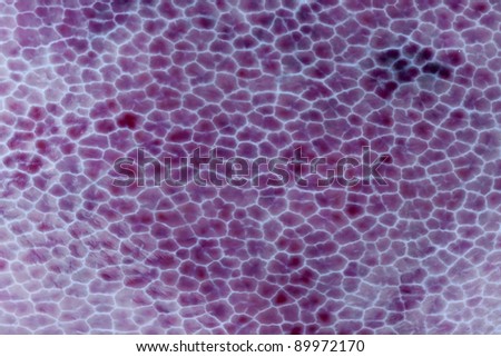 purple texture for background,
See my portfolio for more