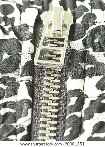 closeup of a leopard texture