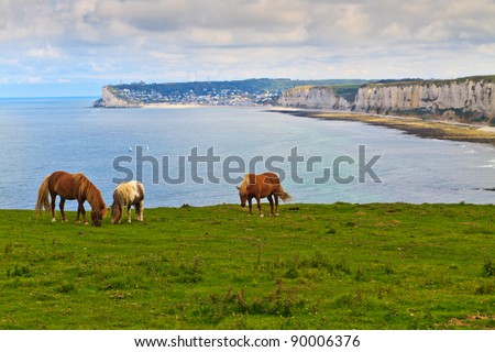 Horses4 on cliffs near Etretat and Fecamp, Normandy, France