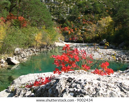 Stroll in the gorges of the Verdon, with the view-point of RANCOUMAS, France Royalty-Free Stock Photo #9002434