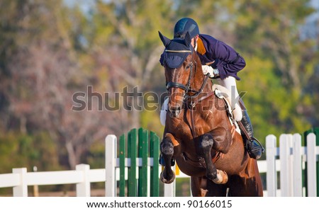 Man jumps horse during a show jump event Royalty-Free Stock Photo #90166015
