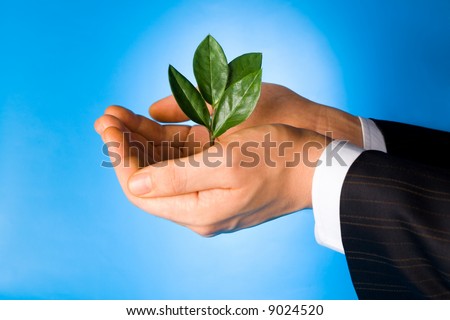 Business man holding a green plant in his hands on a blue background