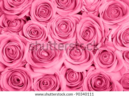 Background image of pink roses Royalty-Free Stock Photo #90340111