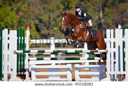 Young woman jumps horse over an obstacle during an event in an arena Royalty-Free Stock Photo #90558082