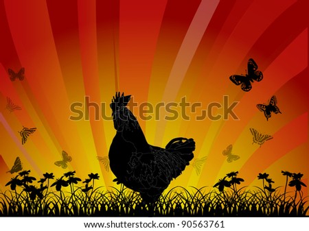 illustration with cock in grass at red sunset