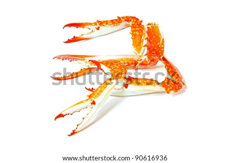 cooked crab, closeup of pictures  on a white background.