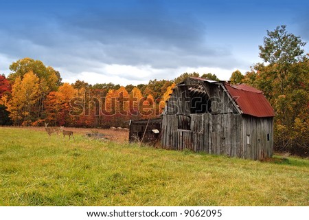  A picture of a old barn and pasture with deer in the background during fall with colors