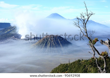 Mount Bromo, Semeru and Batuk sunrise view from Mount Penanjakan , Jawa Timur (JATIM), Indonesia