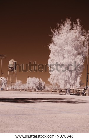 Color Infrared tree at on a soccer field