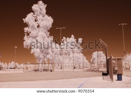Color Infrared tree at on a baseball field