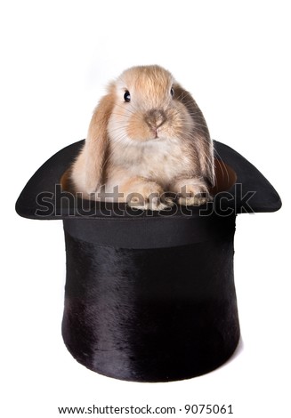 Little easter bunny as a surprise in a top hat Royalty-Free Stock Photo #9075061